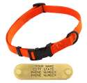 ORANGE LONG 3/4 in. QUICK DAWG Nylon Quick Release Collar