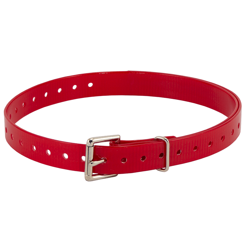 3/4 in. Red Replacement Collar Strap