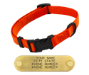 ORANGE SHORT 3/4 in. QUICK DAWG Nylon Quick Release Collar