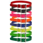  shop 3/4 in. Universal Roller / Double Buckle Replacement Collar Straps
