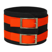  shop Omnipet 4 in. Overkill Nylon Hog Dog Collar