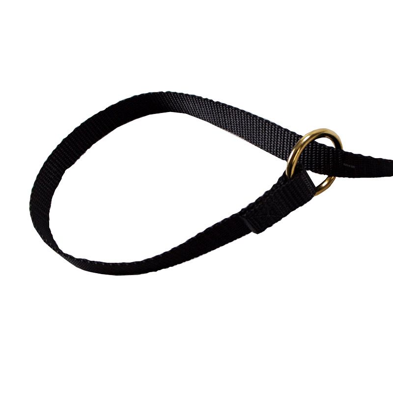Nylon 5/8 in. x 4 ft. Slip Lead. 4.95.