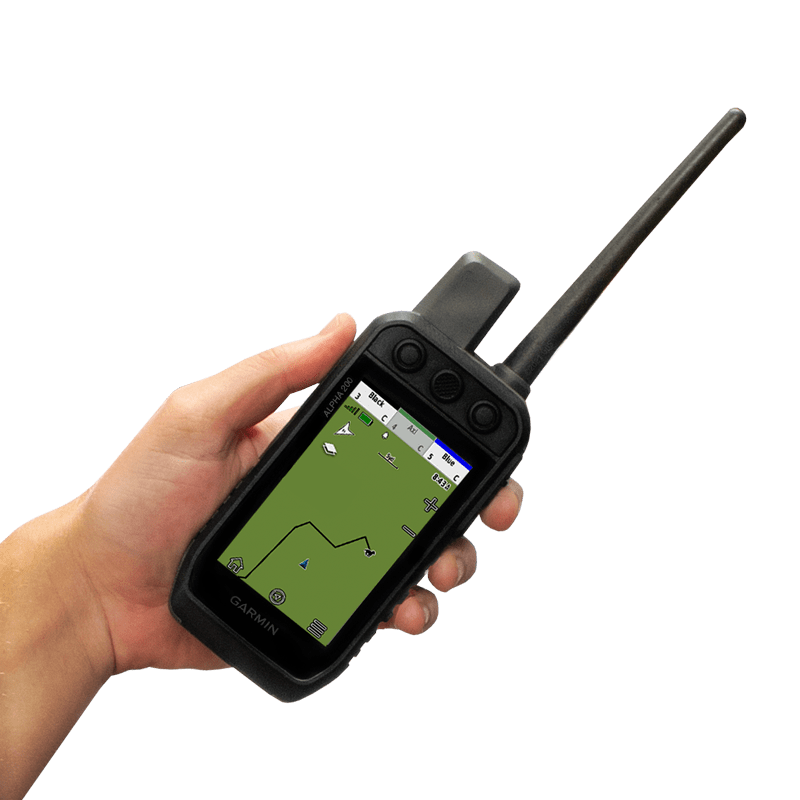 Alpha 200 Plus Handheld in Hand
