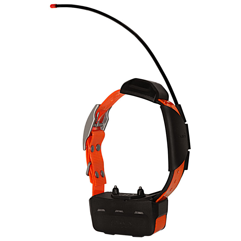 Alpha TT15 Orange Collar