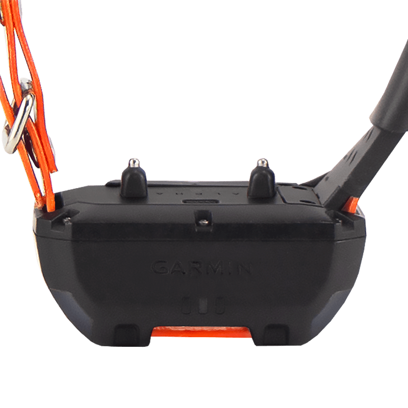 Alpha TT25 Collar Detail