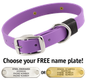 AMETHYST PURPLE BIG DAWG 1 in. Biothane Standard Collar