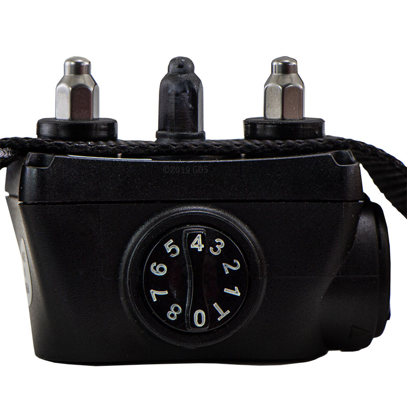 Bark Boss Collar Front