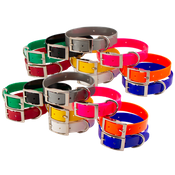  shop Beagle 1 in. Field Trial Dog Collar Combo Pack
