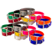 Beagle 1 in. Field Trial Dog Collar Combo Pack