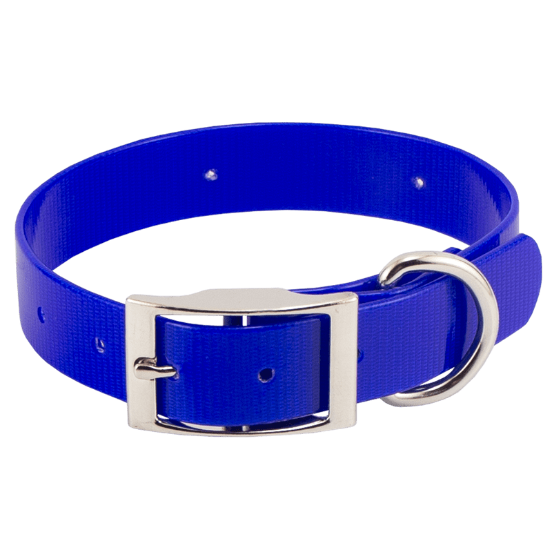 Beagle 1" WINNERS Pack Blue Collar