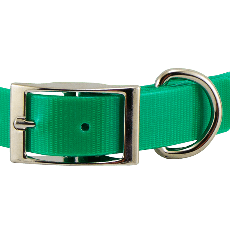 Beagle 1" WINNERS Pack Buckle Front Detail