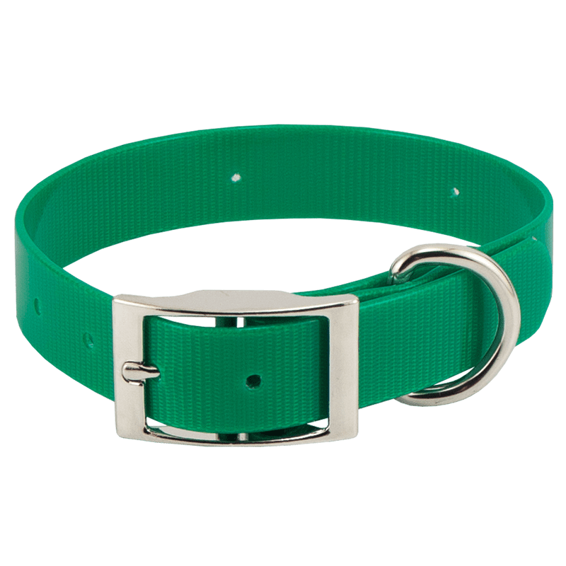 Beagle 1" WINNERS Pack Green Collar