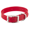 Beagle 1" WINNERS Pack Red Collar
