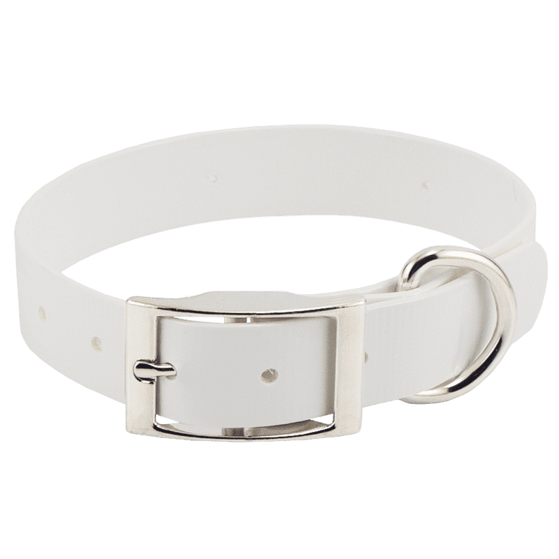 Beagle 1" WINNERS Pack White Collar
