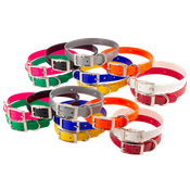  shop Beagle 3/4 in. Field Trial Dog Collar Combo Pack