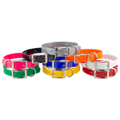 shop Beagle 3/4 in. Field Trial Dog Collar Pack