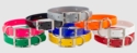 Beagle 3/4 in. Field Trial Dog Collar Pack