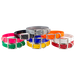 Beagle 3/4 in. Field Trial Dog Collar Pack