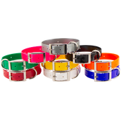  shop Beagle Field Trial Dog Collar Sets