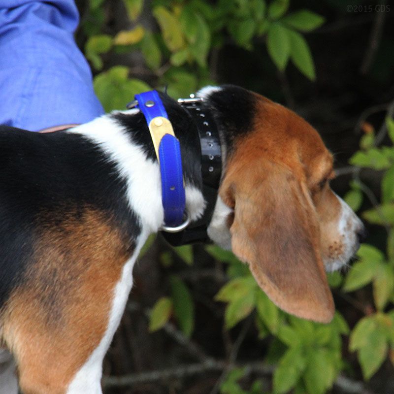 SportDOG SD3225 AddADog Additional Collar / Extra Receiver SDRAH