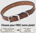 MAHOGANY Big Dawg Deluxe Leather Standard Dog Collar