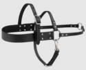 BIG DAWG Biothane Dog Roading Harness