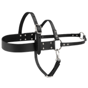  shop BIG DAWG Biothane Dog Roading Harness