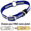 BIG DAWG Visibility -- ROYAL BLUE 1 in. Reflective Biothane O-Ring Collar
