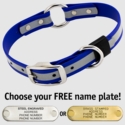BIG DAWG Visibility -- ROYAL BLUE 1 in. Reflective Biothane O-Ring Collar