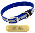 BIG DAWG Visibility -- ROYAL BLUE 1 in. Reflective Biothane Standard Collar
