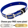 BIG DAWG Visibility -- ROYAL BLUE 1 in. Reflective Biothane Standard Collar