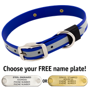  shop BIG DAWG Visibility -- ROYAL BLUE 1 in. Reflective Biothane Standard Collar