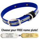 BIG DAWG Visibility -- ROYAL BLUE 1 in. Reflective Biothane Standard Collar