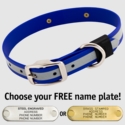 BIG DAWG Visibility -- ROYAL BLUE 1 in. Reflective Biothane Standard Collar