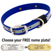  shop BIG DAWG Visibility -- ROYAL BLUE 1 in. Reflective Biothane Standard Collar