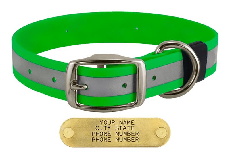 BIG DAWG Visibility KELLY GREEN 1 in. Reflective Biothane Standard Collar. 16.99.