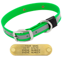 BIG DAWG Visibility -- KELLY GREEN 1 in. Reflective Biothane Standard Collar