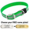BIG DAWG Visibility -- KELLY GREEN 1 in. Reflective Biothane Standard Collar