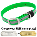 BIG DAWG Visibility -- KELLY GREEN 1 in. Reflective Biothane Standard Collar