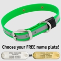 BIG DAWG Visibility -- KELLY GREEN 1 in. Reflective Biothane Standard Collar