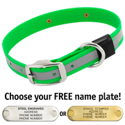  shop BIG DAWG Visibility -- KELLY GREEN 1 in. Reflective Biothane Standard Collar