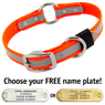 BIG DAWG Visibility -- HUNTER ORANGE 1 in. Reflective Biothane O-Ring Collar