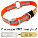 BIG DAWG Visibility -- HUNTER ORANGE 1 in. Reflective Biothane O-Ring Collar