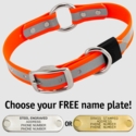 BIG DAWG Visibility -- HUNTER ORANGE 1 in. Reflective Biothane O-Ring Collar
