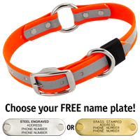  shop BIG DAWG Visibility -- HUNTER ORANGE 1 in. Reflective Biothane O-Ring Collar