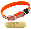 BIG DAWG Visibility -- HUNTER ORANGE 1 in. Reflective Biothane Standard Collar