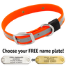 BIG DAWG Visibility -- HUNTER ORANGE 1 in. Reflective Biothane Standard Collar