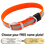 BIG DAWG Visibility -- HUNTER ORANGE 1 in. Reflective Biothane Standard Collar