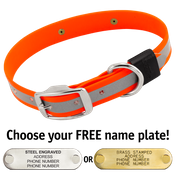  shop BIG DAWG Visibility -- HUNTER ORANGE 1 in. Reflective Biothane Standard Collar