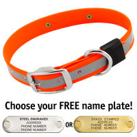  shop BIG DAWG Visibility -- HUNTER ORANGE 1 in. Reflective Biothane Standard Collar
